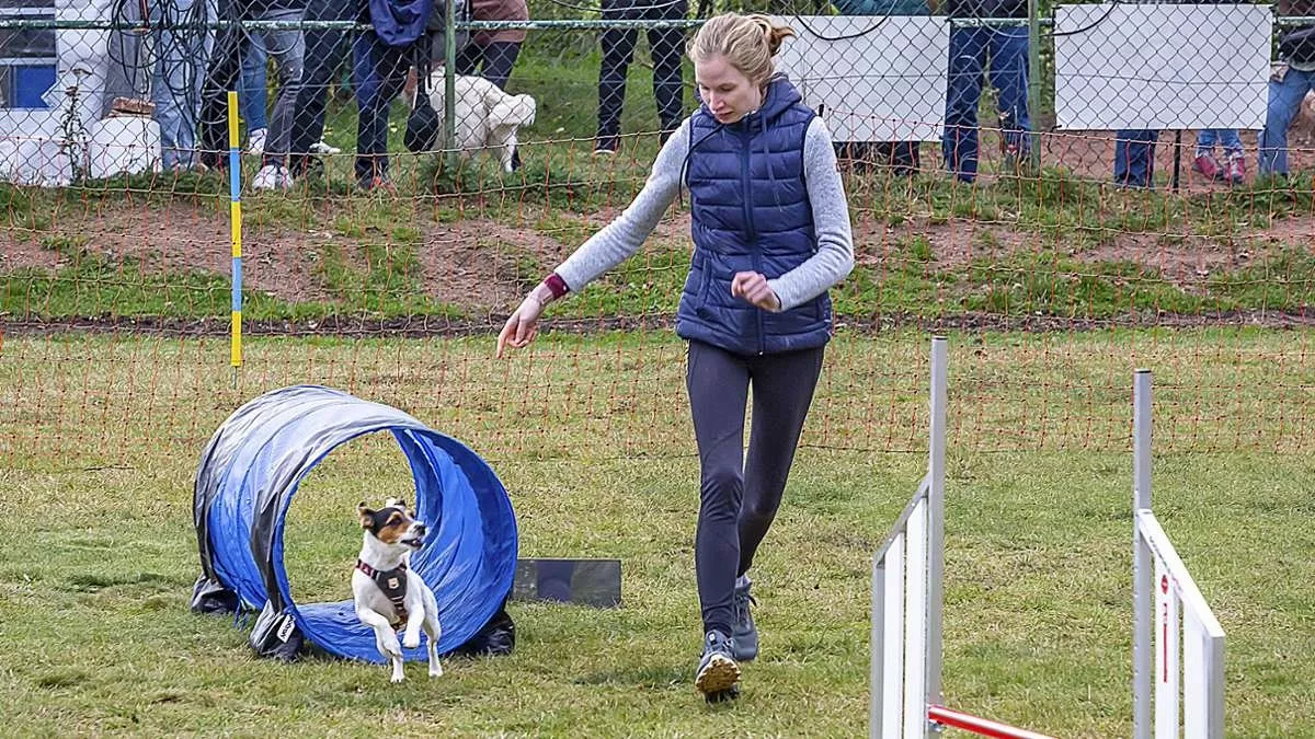 Nala rennt durch Tunnel Nala rennt durch Tunnel