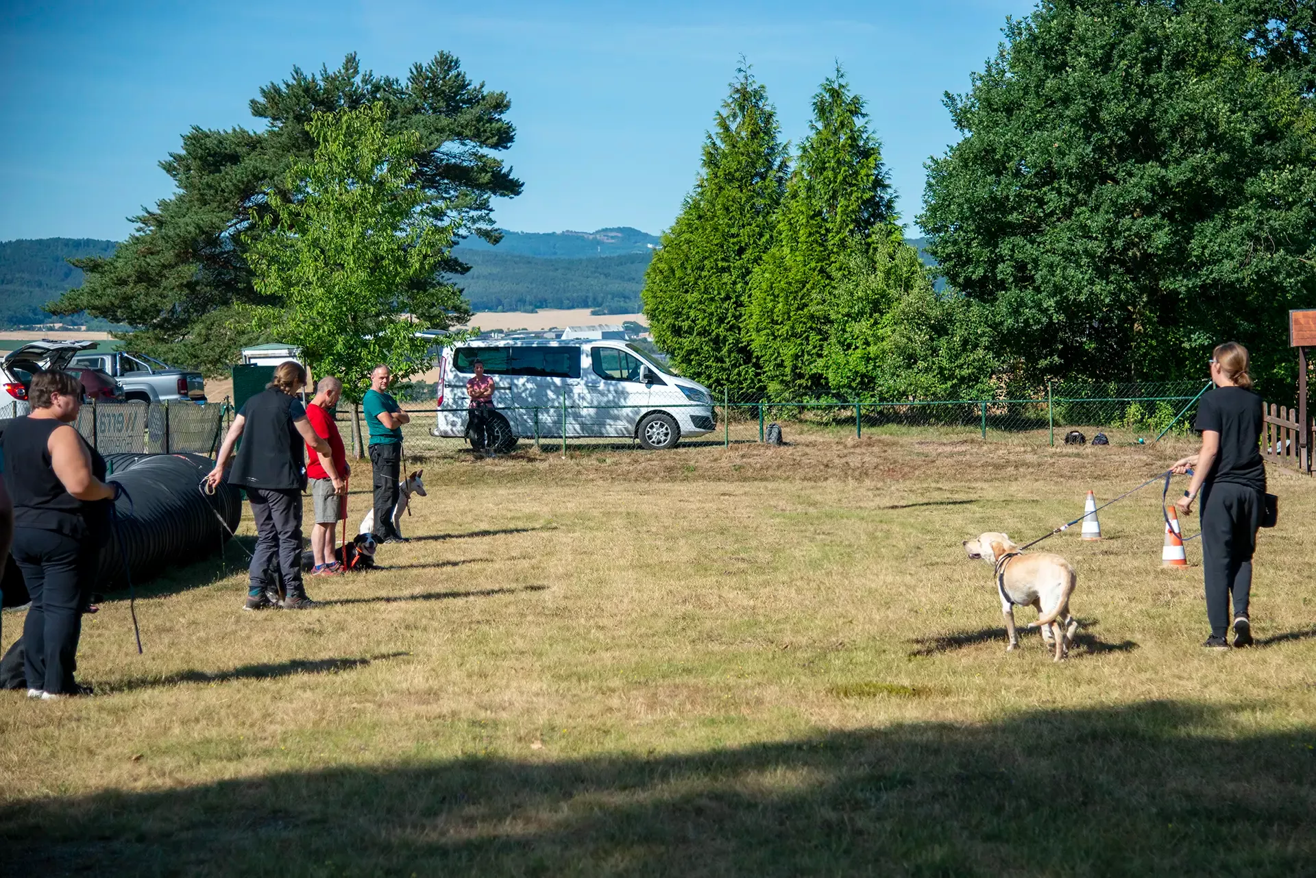 hundesportverein-gruppe