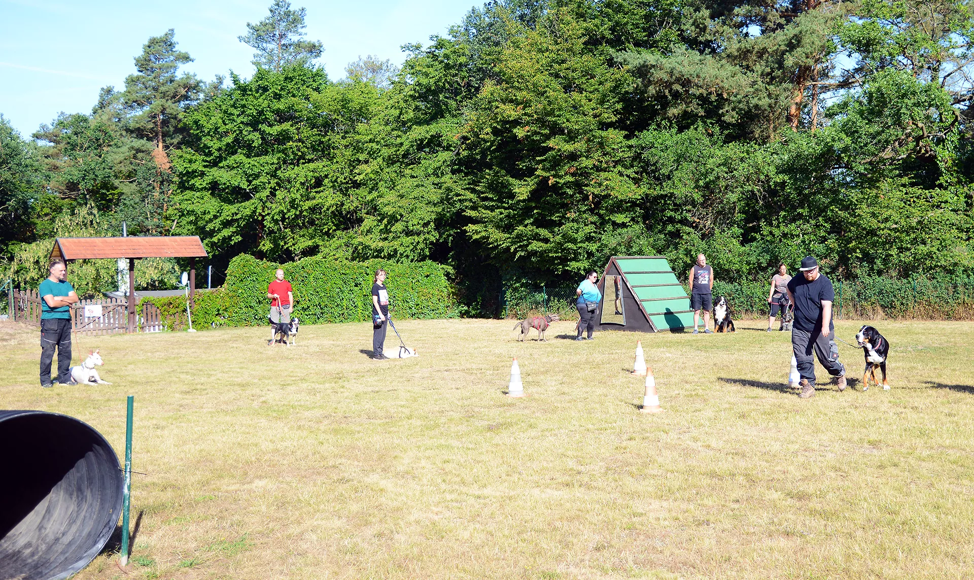 hundesportverein-gruppentraining